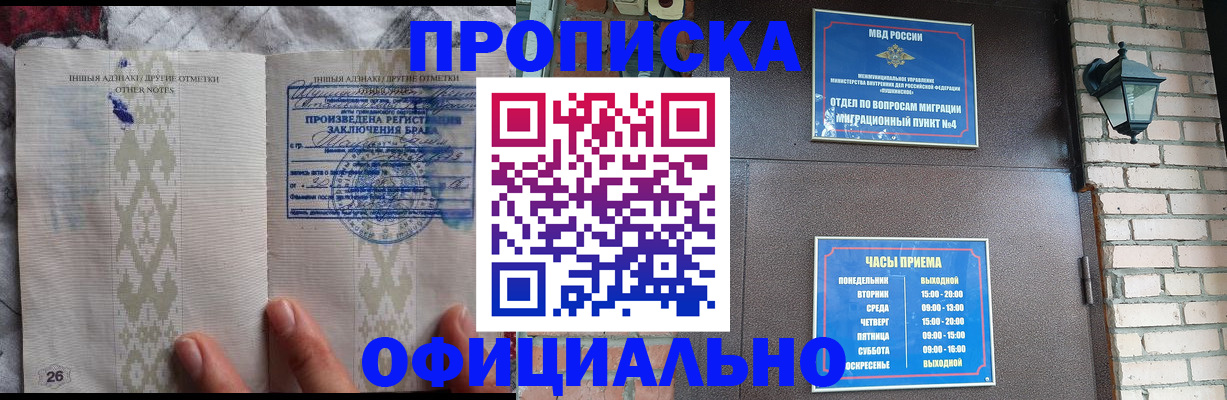 прописка поиск в Зиме